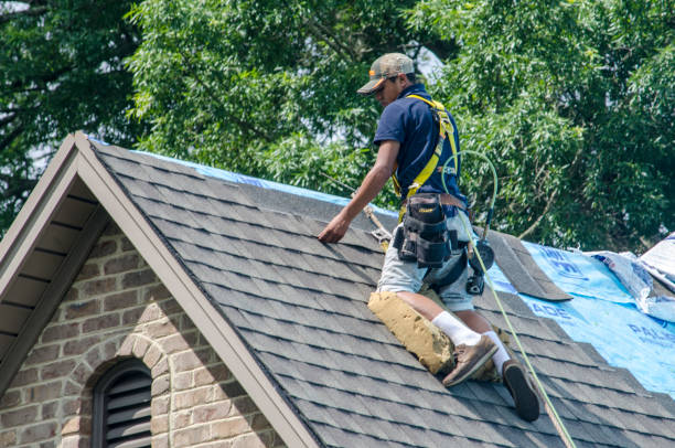 Roof Gutter Cleaning in Fargo, ND
